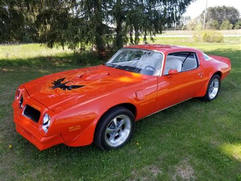 1976 pontiac firebird sheet metal|Pontiac Firebird 1976 for sale.